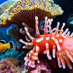 **A vibrant coral reef in Brunei, teeming with colorful fish. Macro photography, showcasing nudibranchs, harlequin shrimp, and other small reef creatures.**