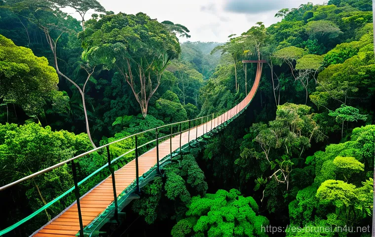 브루나이 유산 보존 - **Awe-Inspiring Rainforest Canopy Walk in Ulu Temburong National Park, Brunei**
An expansive, br...