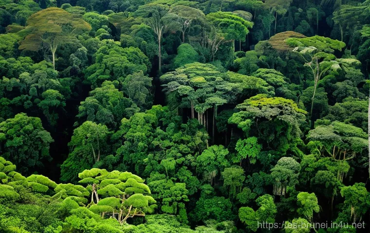 브루나이 리조트 추천 - **Vibrant Bruneian Night Market:**
A bustling and colorful scene at the Gadong Night Market in B... 브루나이 리조트 추천 - **Vibrant Bruneian Night Market:**
A bustling and colorful scene at the Gadong Night Market in B...